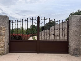 IMG_1420